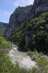 Verdon river and trees 