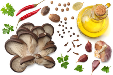 Oyster mushrooms, parsley, garlic, oil and spices isolated on white background. top view