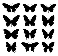 Butterflies set. Vector