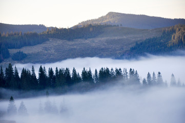 Foggy morning in a valley