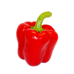 Pepper isolated on white background