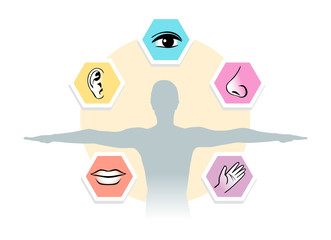 Naklejka premium gesicht1701b