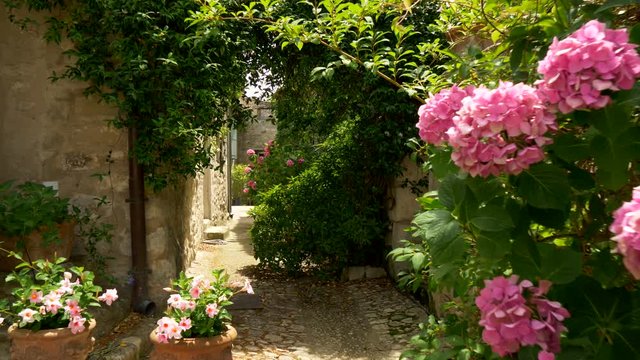 Steadicam shot of narrow paved street with greenery. Lacoste, France. 4K, UHD