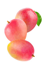  Whole mango isolated on white