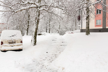 Winter city in the snow