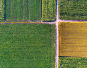 Top view of agricultural parcels