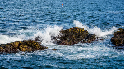 Atlantic Splash