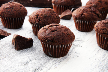 Chocolate muffins, homemade bakery on white wooden background