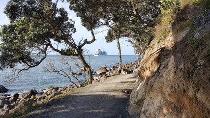 Cruise Ship by the foot path