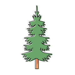 Pine tree design