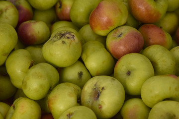 Apples in a Pile at the Farmers Market