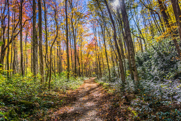 Beautiful Smoky Mountains in the Fall