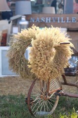 wheatgrass wreath on a bicycle