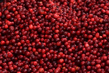 Cranberries in a Pile Closeup Abstract Texture Background