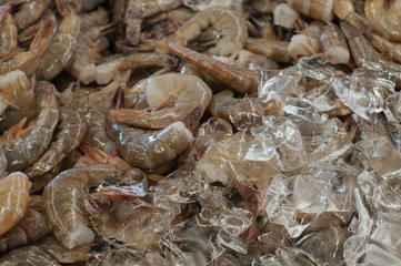 Fish market, shrimp background.