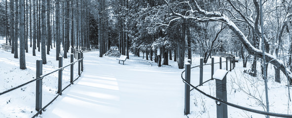 Black and white panoramic photograph of a park with trees and a bench all covered in fresh fallen snow.