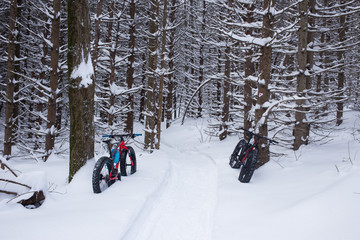 Fat bike