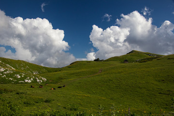 Naklejka premium mountain