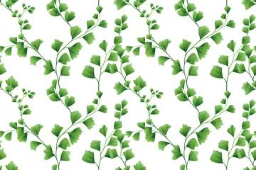 Gordijnen Seamless pattern, Adiantum leaves on white background © momosama