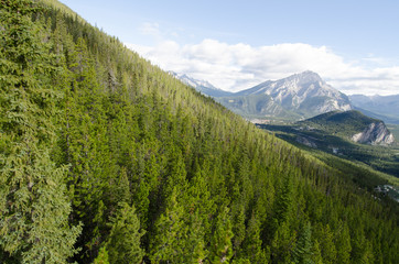 Fototapeta premium mountain view
