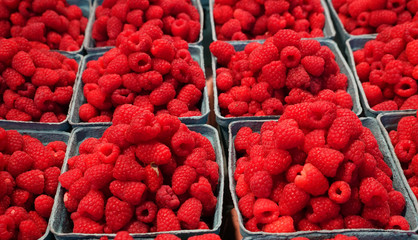 fresh raspberries at farmer's market