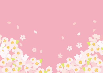 桜空四 ピンク