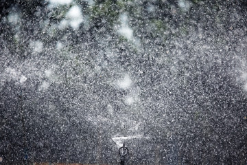 splashing background from watering sprinkler plant