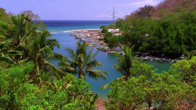 Jukung Fishing Boats & Palm Trees; Langogan To Port Barton; Langogan Harbour, Palawan, Philippines