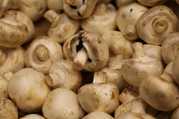 Whire fresh champignons texture closeup concept healthy nutrition