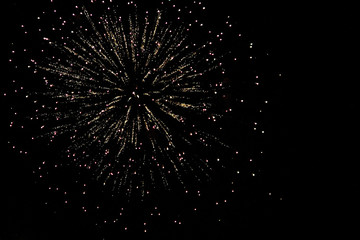 Fototapeta premium Firework in Central Park