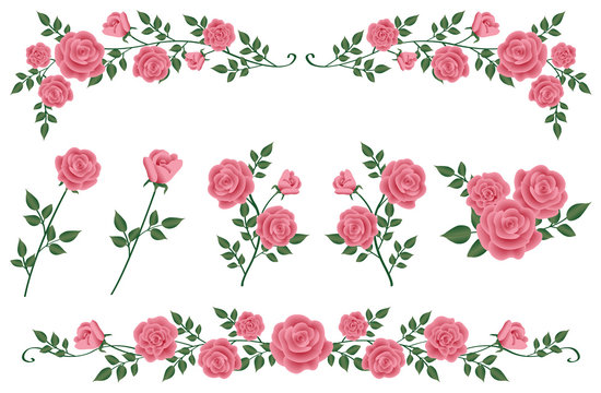 ピンク色のバラ　飾り線とイラスト