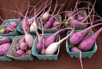 containers of purple turnips