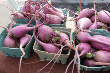 purple turnips