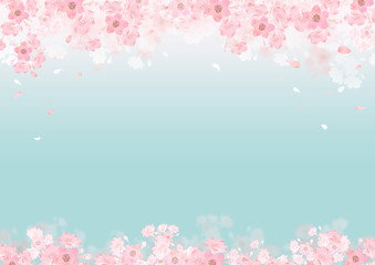 春 桜 背景 フレーム Wall Mural Wallpaper Murals Tada