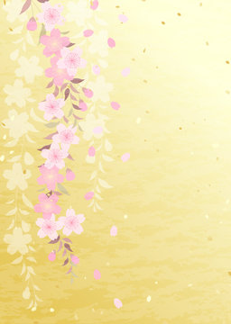 枝垂れ桜 