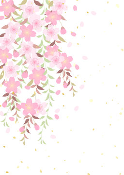 枝垂れ桜 柳 