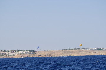 Beautiful shots in the red sea
