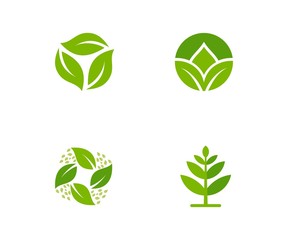 abstract leaf icon set vector