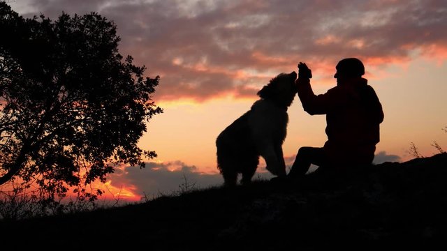 Un uomo e il suo cane giocano al tramonto