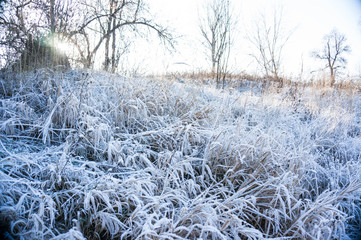 The first frost.
