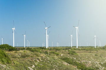 Fototapeta premium Wind turbine field against blue sky, Bulgaria