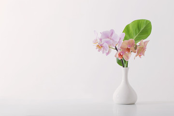beautiful orchids in white vase on white table