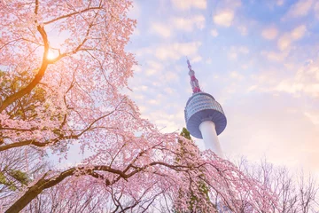 Fototapeten Seoul tower in spring with cherry blossom tree in full bloom, south korea. © panyaphotograph