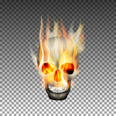 The human skull on fire