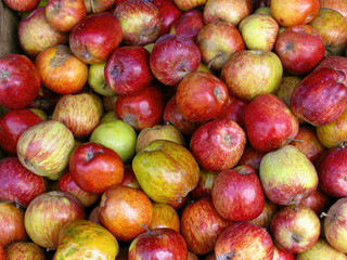 Malus pumila Commonly called Apples for sale. Kerala, India