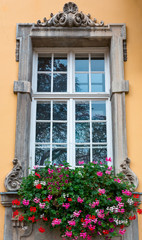 Fototapeta na wymiar Old window with flowers