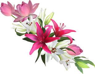 straight design from lotus and lily flowers on white