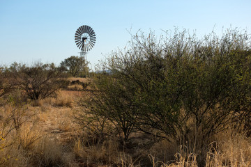 Windmill near the Plenty Highway in outback Northern Territory