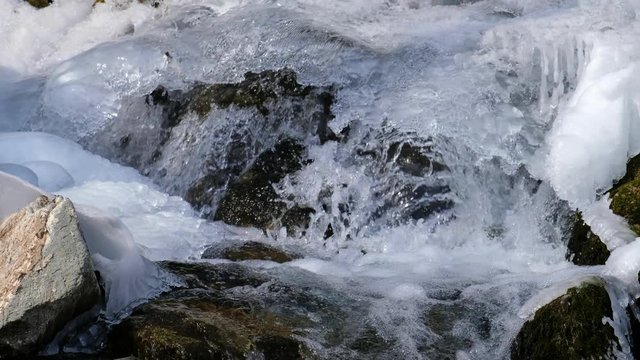 Video of Altai river Bolshaya Gromotuha in winter