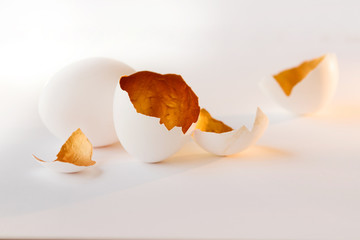 A symbol of new life, eggs shells. Decorative, gold color inside